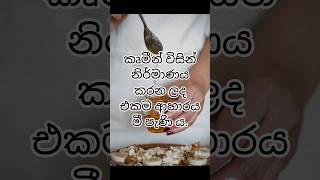 ඔබ දැන සිටියාද?🐝🍯 #facts #ytshorts #food #interestingfacts #viral #shorts #honey #bee #sinhala