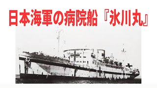 元は日本郵船の豪華客船 日本海軍の特設病院船『氷川丸』【兵器解説】 《日本の火力》