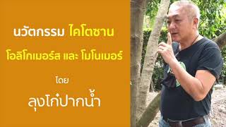 ไคโตซาน คือ อะไร ? มีประโยชน์อย่างไร ?