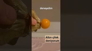 Altın çilek deniyorum💛