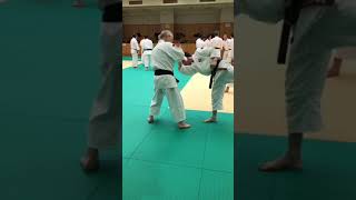 ②小手投運歩法 Kote Nage Unpoho with English commentary 少林寺拳法 Shorinjikempo