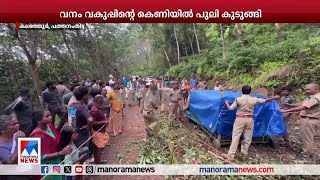 കലഞ്ഞൂരില്‍ വീണ്ടും പുലി കുടുങ്ങി ​| Pathanamthitta