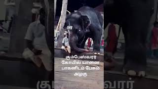 கும்பேஸ்வரர் கோவில் யானை பாகனிடம் பேசும் காட்சி