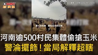 CTWANT 國際新聞 / 河南逾500村民集體偷搶玉米　警淪擺飾！當局解釋超瞎