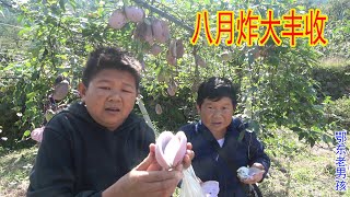 老男孩带小六摘八月炸，吃饱了又摘一大袋，小六直说要背不动了| 鄂东老男孩