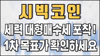 시빅코인 - 세력 대형매수세 포착! 1차 목표가 확인하세요!