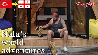 Nala cat's world adventures 🇹🇷➡️🇬🇪 VLOG#8