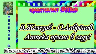 В. Железов - О. Лаврёнов.  Аптека прямо в саду!