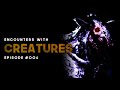 9 creature encounters episode 004 what lurks beneath