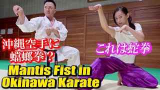 Mantis Fist in Okinawa Karate? Protect yourself with【Sanseru】