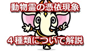 動物霊の憑依現象４種類について解説【斉藤一人さん】