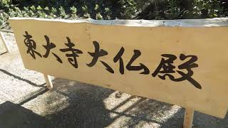 2021_10_30三島市　第69回菊まつり 楽寿園[大型盆景｢東大寺｣東海菊花大会].wmv