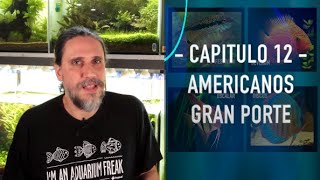 ACUARIO DESDE CERO, Ciclidos Americanos de gran porte, Cap. 12 - ACUAMANUS