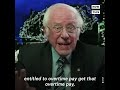 bernie sanders urges dems to fight for progressive policies nowthis