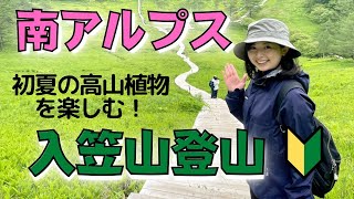 【山ガール初投稿】アラサー女子が入笠山に登ったら高山植物が綺麗過ぎました！