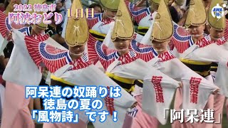 【リポートシリーズ！】「最高過ぎる！徳島の阿波おどり・初日後半」徳島市阿波おどり2022  #阿波踊り #japan #夏祭り#阿呆連 #娯茶平