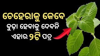 ଚେହେରା କୁ କେବେ ବୁଢା ହେବାକୁ ଦେବନି ଏହାର ୨ଟି ପତ୍ର ? ୫୦ ରେ ବି ଦେଖାଯିବେ ୨୦ ଭଳି ଜବାନ !