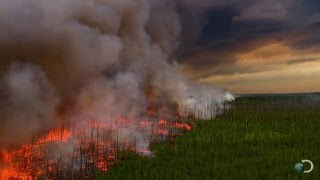 Filming a Raging Forest Fire | North America