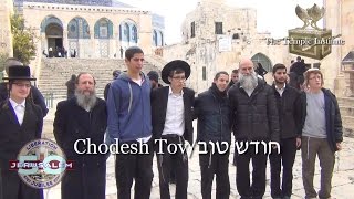 Rosh Chodesh Shevat Message from the Temple Mount