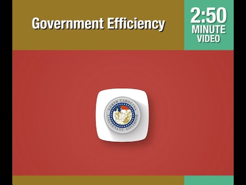 Government Efficiency - YouTube