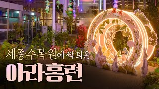 금동보살좌상 소유권 분쟁 \u0026 세종수목원 아라홍련전 특별전 LTE / 오늘M / 2023년 6월 14일