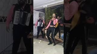 MARIACHIS COTORREO EN VIVO CANCIONES DE TIK TOK MARIACHIDIZIMO DESMADROSO