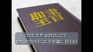 134、ぶどう園の悪い農夫たちのたとえ　字幕つき