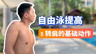 【自由泳提高】5.转肩的基本动作｜梦觉教游泳