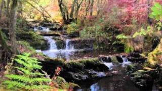 Terre Celtique (Brocéliande, Bretagne éternelle)