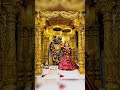 Kalupur mandir sangar darshan 11/11/2024