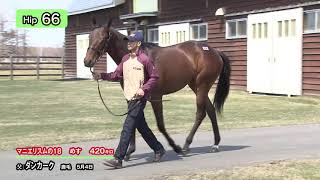 Hip66　マニエリスムの１８（父ダンカーク）