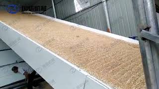 wheat drying machine working site