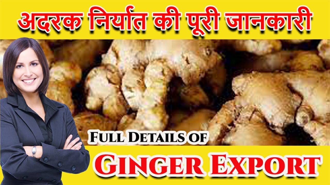 Ginger Export Business In India How To Export Ginger ह द म Youtube