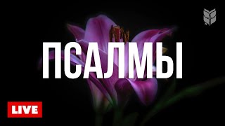 🔴 Библия онлайн: Книга Псалмов | Современный перевод 24/7