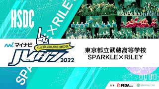 【LARGE部門】SPARKLE×RILEY（東京都立武蔵高等学校）/マイナビハイダン 2022 EAST vol.3