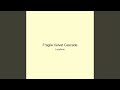 Fragile Velvet Cascade