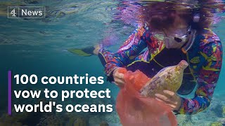 UN agrees major treaty to protect Earth’s oceans