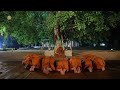 mv เพลง ตื่นรู้ สามเณรปลูกปัญญาธรรม ปี 10