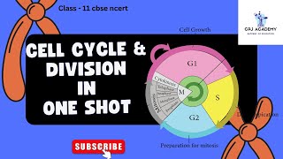 Master the Cell Cycle & Division in Minutes | CBSE Class 11 Biology Made Easy