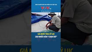 Giá muối năm nay đạt mức kỷ lục