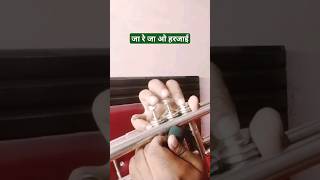 Ja Re Ja O Harjai #learntrumpet #trumpet #trumpetmusic . #trumpetplayer