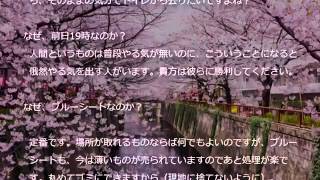 成功する花見の場所取り方法　6項目　これであなたも場所取りマスター