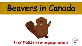 Beavers in Canada - easy explanations for English language learners