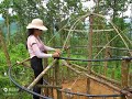 独自一人在热带雨林独居生活。 野外生存 野外建造 荒野独居