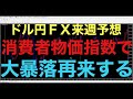 【ドル円FX予想最新】今後の相場展開を予想する上でも、来週のCPIはかなり重要になってくると思います！ダブルトップ形成で下落すれば、円高が再加速、直近の高値越えれば、148円以上まで上昇していくと予想