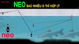 NEO. Tại sao câu dù phải neo? neo bao nhiêu thì hợp lý