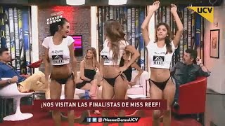 Las Finalistas del último Miss Reef Chile