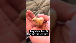 ਜਿਸ ਕੋ ਰਾਖੈ ਸਾਈਆਂ #shorts #ytshorts #trendingshorts #punjabi #viralshort #motivation