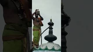 வருசபிசேகம் கல்லிடைக்குறிச்சி சிவன் கோயில்....