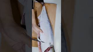 寒ブリのウロコを取る方法 How to remove yellowtail scales. #すき引き #鰤